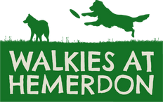 Walkies at Hemerdon Logo Walkies at Hemerdon Logo